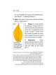 Halachic Handbook: The Laws of the Succah and Four | Sukkot | Judaica